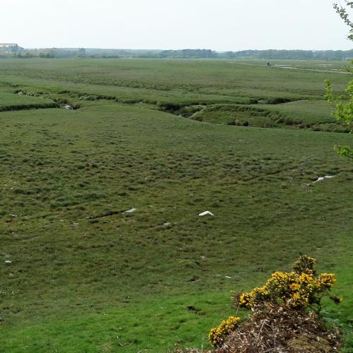 Annan Farm