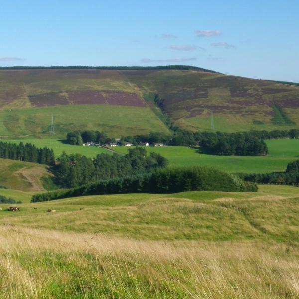Glensaugh Farm